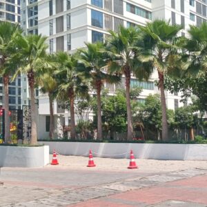 Washington ( Landscape )