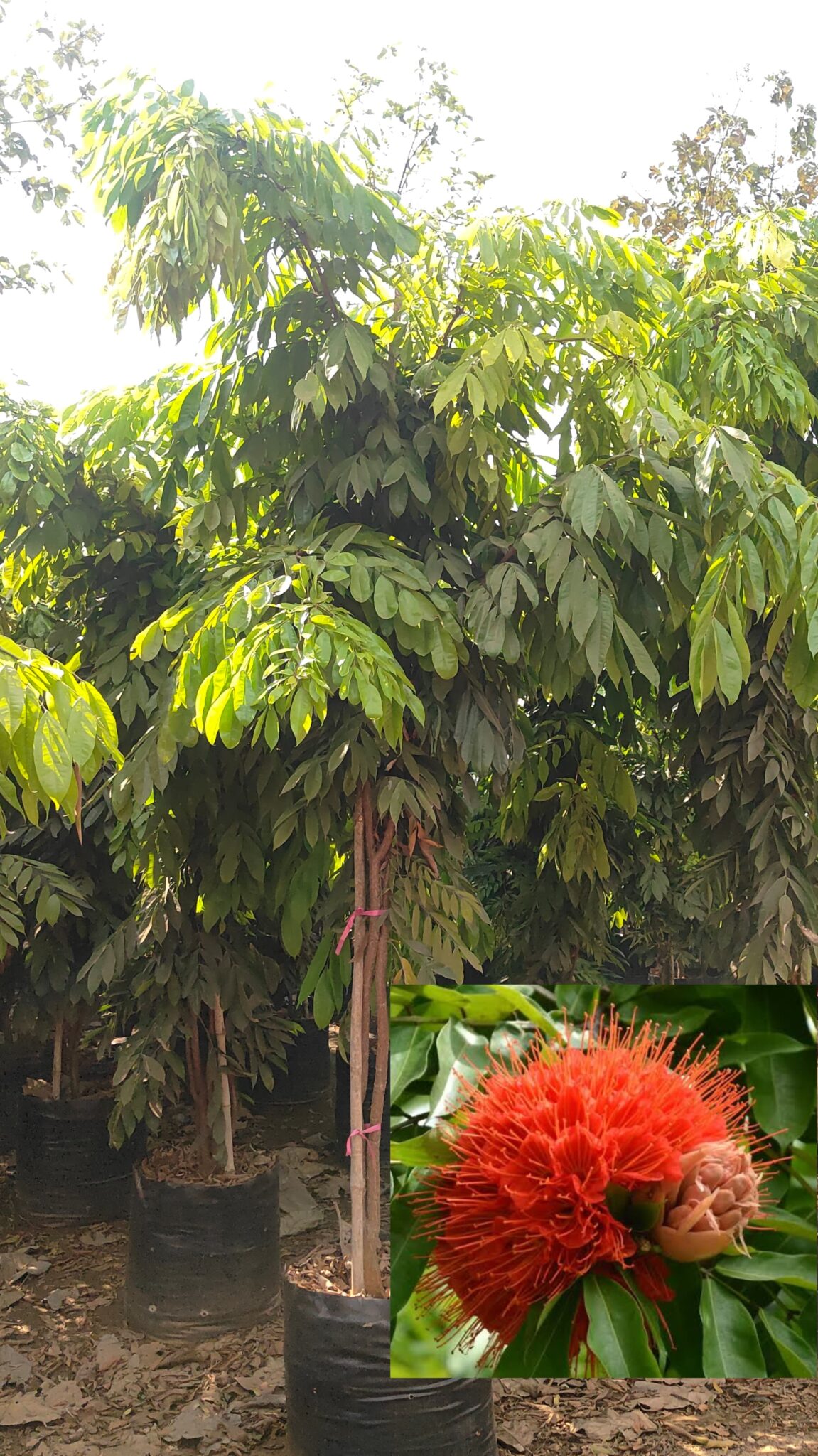 WhatsApp Image 2025-08-18 at 12.20.40 PM