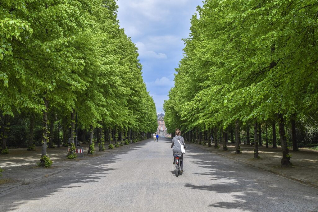 avenue, trees, path, nature, landscape, park, green, castle, dusseldorf, summer, cyclist, nature, park, park, park, park, park, castle, castle, dusseldorf