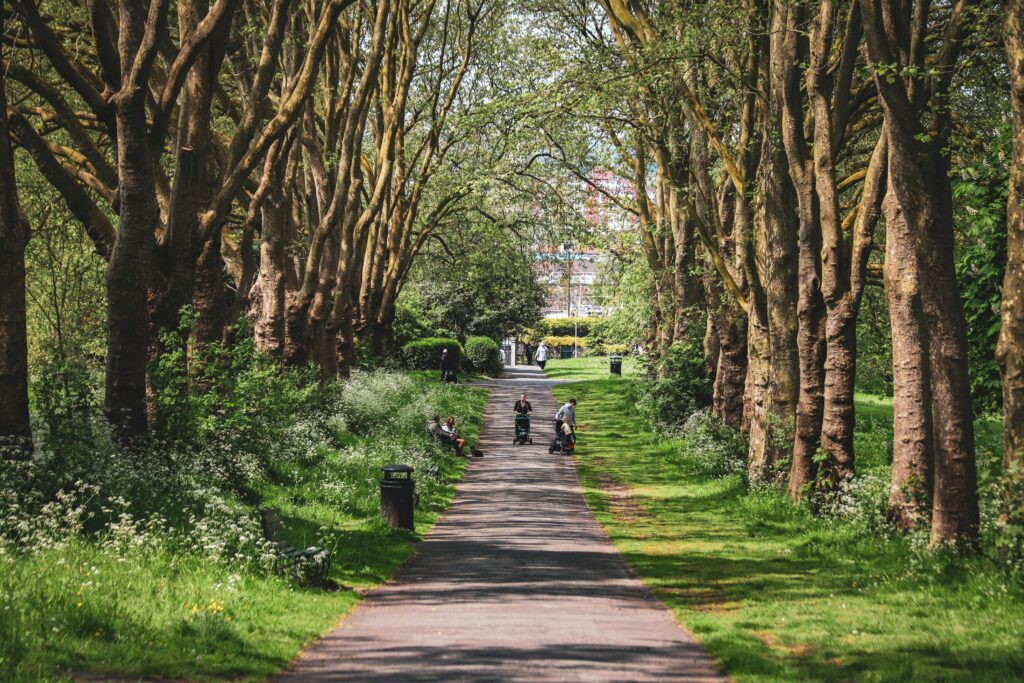 A tranquil pathway lined with trees in St George Park, Bristol, perfect for leisure and relaxation.