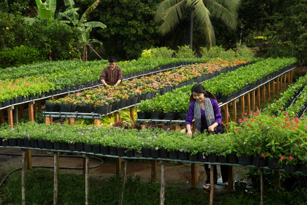 Gardeners working in a lush nursery with a variety of plants and flowers, surrounded by tropical greenery.