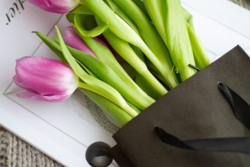 flowers, flower wallpaper, tulips, bloom, nature, blossom, botany, plant, beautiful flowers, spring, flower background, seasonal, gift, gift bag