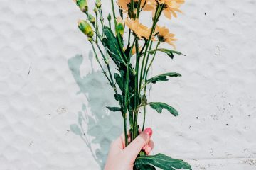 A hand holds a vibrant bunch of yellow flowers, set against a textured white wall, capturing a sunny and minimalist aesthetic.
